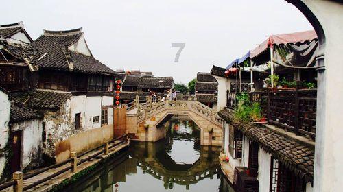 学习插花艺术